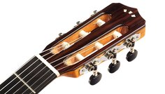 FUSION 12 MAPLE Cordoba