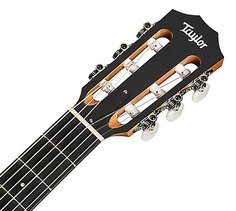 Academy 12e-N Academy Series Taylor