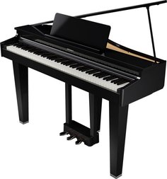 GP-3-PE Roland