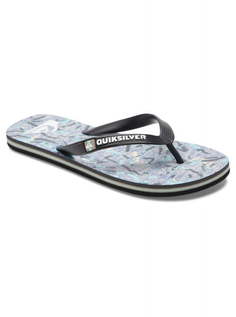 Мужские сланцы Molokai Quiksilver