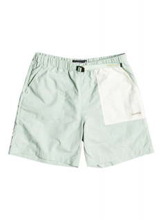 Шорты QUIKSILVER Run Ashore Frosty Green