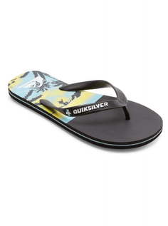 Мужские сланцы QUIKSILVER Molokai Panel