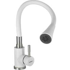 Смеситель для кухни WISENT