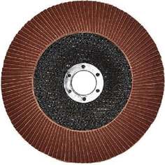 Лепестковый круг торцевой TORGWIN