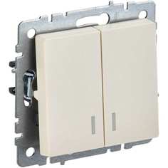 Двухклавишный выключатель IEK