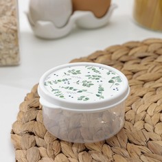 Контейнер пищевой доляна