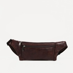 Поясная сумка на молнии, 2 наружных кармана, цвет коричневый NO Brand