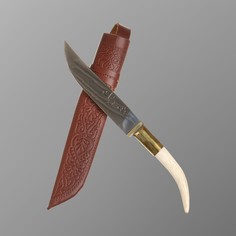 Нож пчак шархон - чирчик, касуля мини, гарда латунь, шахрихан гравировка. 95х18 (10-12 см) Shafran