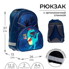 Рюкзак школьный, 37 х 26 х 13 см, эргономичная спинка, calligrata ан