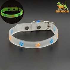 Ошейник, светящийся в темноте, Пижон