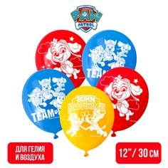 Воздушные шары PAW Patrol