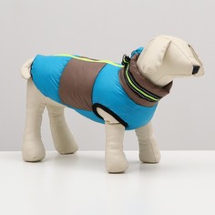 Куртка для собак с ошейник, размер 10 (дс 25 см, ог 34 см, ош 24 см), серо-голубая NO Brand