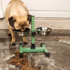 Подставка с мисками, 2 х 250 мл, высота 25 см, разборная, зелёная Пижон