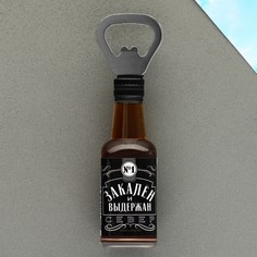 Магнит-открывашка Семейные традиции