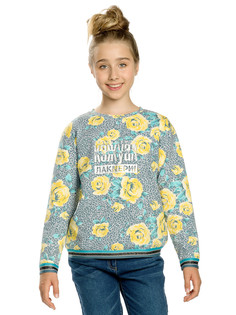 Толстовка Pelican