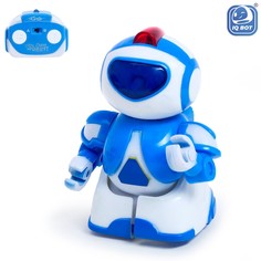 Робот радиоуправляемый IQ BOT
