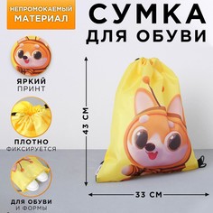 Болоньевая сумка для обуви Art Fox