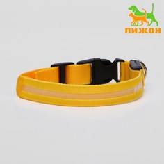 Ошейник с подсветкой, m, 40-45 см, 3 режима свечения, жёлтый Пижон