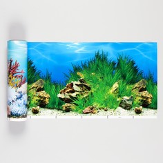Фон для аквариума двухсторонний, 30 см, рулон 15 м NO Brand