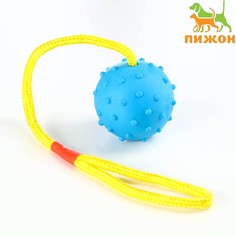 Игрушка мяч на веревке, 6 см, синяя Пижон