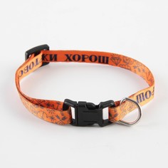 Ошейник для собак и кошек с фастексом Пушистое счастье