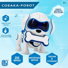 Робот-собака IQ BOT