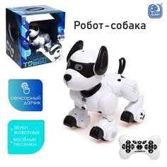 Робот-собака IQ BOT