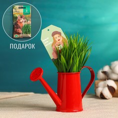 Кашпо Take IT Easy