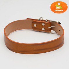 Ошейник с подкладом из прессованной кожи, 59 х 3 см, ош 41-51 см, коричневый Пижон