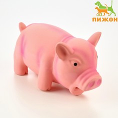 Игрушка хрюкающая для собак из латекса Пижон