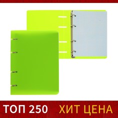 Тетрадь на кольцах а5 calligrata, в клетку, 80 листов, пластиковая обложка, блок офсет, салатовая