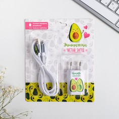 Набор кабель usb - lightning и штекер Like me