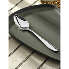 Ложка столовая из нержавеющей стали, h=20 см, цвет серебряный NO Brand