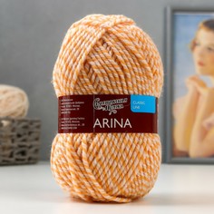 Пряжа arina (аринапш) 50% шерсть, 50% акрил 123м/100гр мозаика 882 (9446) NO Brand