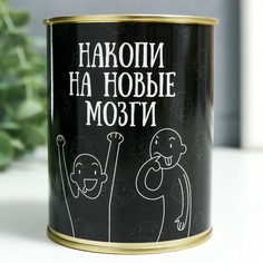 Копилка-банка металл NO Brand