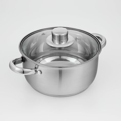 Кастрюля из нержавеющей стали доляна