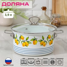 Кастрюля доляна