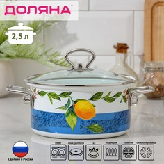 Кастрюля доляна