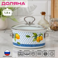 Кастрюля доляна