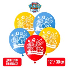 Воздушные шары PAW Patrol