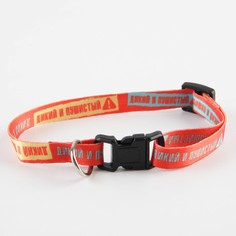 Ошейник для собак и кошек с фастексом Пушистое счастье