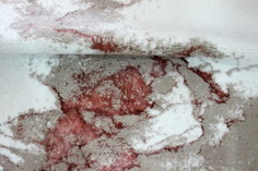 Коврик Sofi De Marko