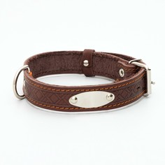 Ошейник кожаный тисненый однослойный с табличкой, 60 х 3 см, ош 45-57 см, коричневый Пижон