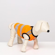 Светоотражающий жилет для собак, размер 12 (дс 28 см, ог 38 см, ош 27 см), оранжевый NO Brand