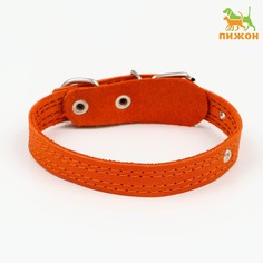 Ошейник кожаный с язычком прошитый, 2 х 40 см, ош 25-35 см , рыжий Пижон