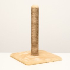 Когтеточка NO Brand