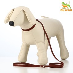 Комплект кожаный ошейник 33 х 1,2 см и поводок 135 х 0,8 см, коричневый Пижон