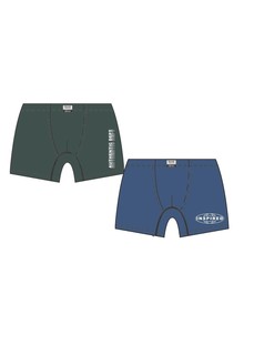 Набор трусов Clever