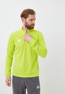 Олимпийка adidas ENT22 TR TOP