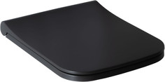 Сиденье для унитаза с микролифтом Allen Brau Infinity 4.21014.AN